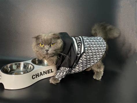 christian dior dog clothes